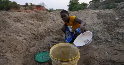 Cảnh báo mới nhất về hiện tượng El Niño: 80% khả năng hình thành trước tháng 9