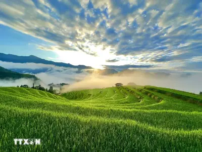 Cuộc đua leo ruộng bậc thang độc đáo ở Thông Nguyên