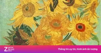Cuốn sách hé lộ bí ẩn hoa hướng dương trong tranh Van Gogh