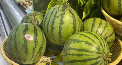 Dưa hấu chứa lycopene chống oxy hóa, nhưng cần ăn vừa phải