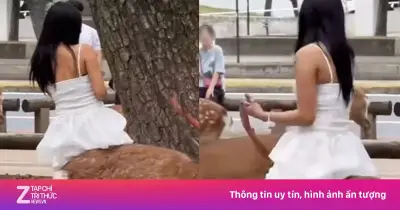 Du khách ngồi lên lưng 'hươu thần' Nara gây phẫn nộ dư luận Nhật Bản