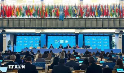 FAO: Việt Nam là ví dụ điển hình trong hợp tác Nam-Nam