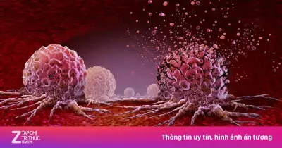 Gene thúc đẩy dậy thì sớm có thể tăng nguy cơ ung thư