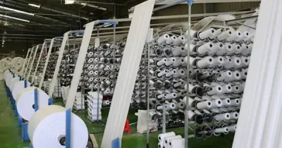 Giá bao bì nhựa tăng cao gây áp lực lên ngành xuất khẩu thủy sản 11 tỷ USD