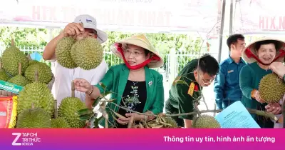 Giá sầu riêng Ri6 chạm đáy 25.000 đồng/kg: Nguyên nhân và giải pháp