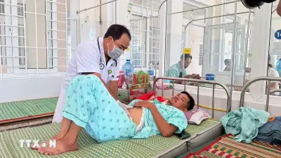 Gia Lai phát hiện hàng loạt vi phạm sau vụ nghi ngộ độc bánh mỳ