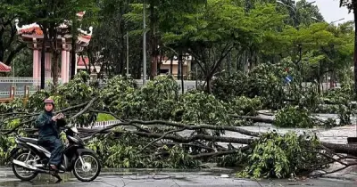 Giông lốc ở Cao Lãnh, Đồng Tháp làm tốc mái 6 căn nhà, hư hỏng lễ hội Sen