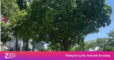 Hà Nội tăng mức xử phạt vi phạm giao thông đường bộ từ 1/7