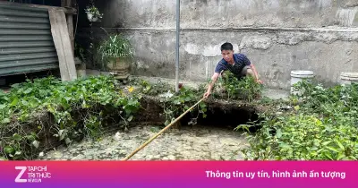 Hố tử thần sâu hơn 4m xuất hiện sát nhà dân ở Thái Nguyên, sơ tán khẩn 2 hộ