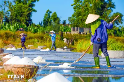 Hà Tĩnh: Những người giữ vị mặn trên cánh đồng muối Châu Hạ