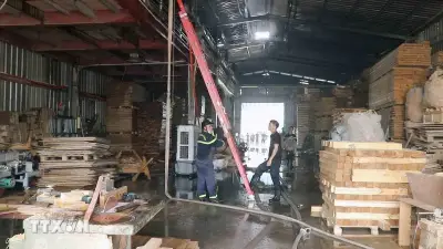 Hải Phòng: Kịp thời dập tắt đám cháy tại xưởng sản xuất pallet gỗ 400m2