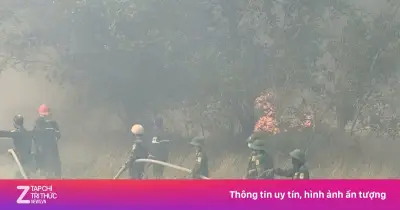 Hàng trăm người căng mình dập lửa cháy rừng liên tiếp ở Quảng Trị