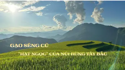 Hành trình gìn giữ hạt ngọc Séng Cù trên vùng cao Than Uyên