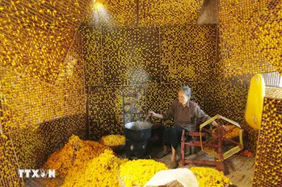 Hành trình khôi phục chuỗi tơ tằm xây dựng thương hiệu lụa Hòa Lư