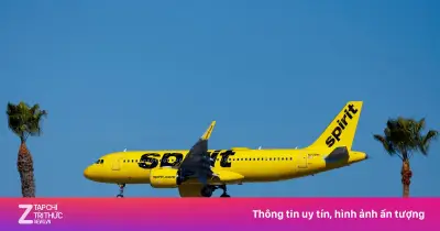IATA cảnh báo nhiều hãng bay giá rẻ có thể phá sản vì giá nhiên liệu tăng cao