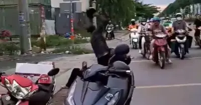 Điều tra vụ đánh người trên đường Lê Quang Đạo, TP.HCM
