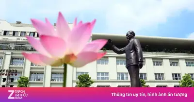 Khí phách Việt Nam qua hai lời kêu gọi kháng chiến của Bác