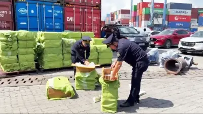 Khơi thông quy trình thực thi quyền sở hữu trí tuệ tại biên giới
