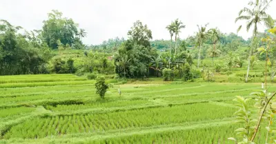 Khi trẻ nghỉ hè: Niềm vui và nỗi lo của gia đình hiện đại