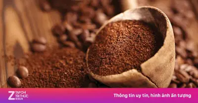 Khám phá cách uống cà phê độc đáo trên thế giới qua cuốn sách mới