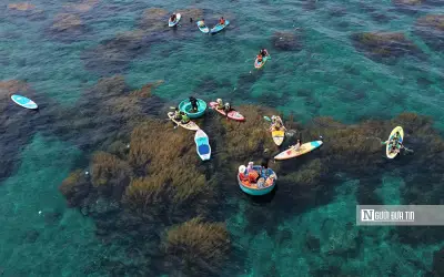 Khám phá mùa rong mơ nở rộ ở làng chài Nhơn Hải, Quy Nhơn