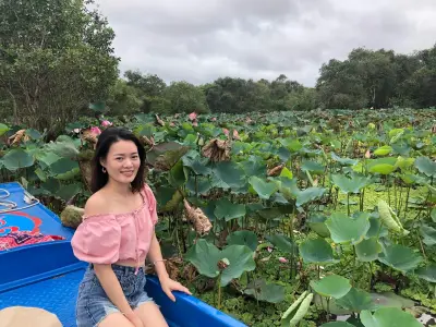 Khám phá rừng tràm Trà Sư: Bản giao hưởng xanh giữa miền Tây mùa nước nổi