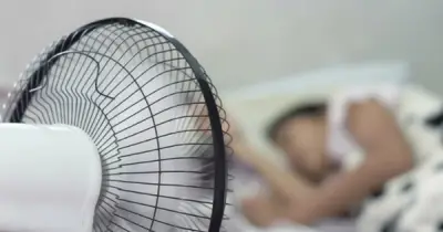 Không cần chỉnh số to nhất, bật quạt thế này vào ban đêm mát hơn bình thường: EVN hướng dẫn