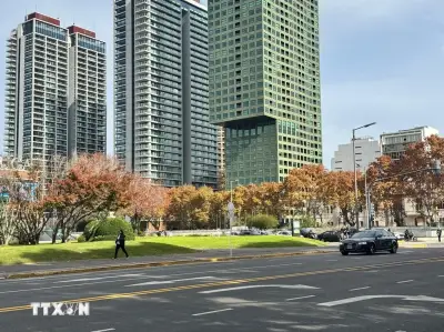 Khung cảnh mùa thu tuyệt đẹp tại thủ đô Buenos Aires của Argentina