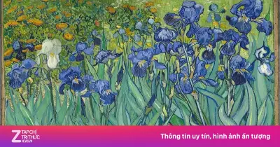 Kiệt tác 'Hoa diên vĩ' của Van Gogh: Vẽ giữa những ngày đen tối nhất