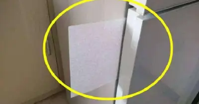 Kẹp giấy vào tủ lạnh: Mẹo tiết kiệm điện đơn giản ai cũng nên biết