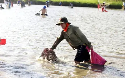 Lễ hội đánh cá Vực Rào: Nét văn hóa truyền thống độc đáo 300 năm