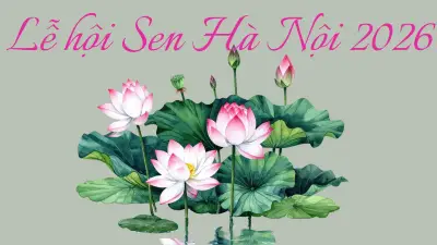 Lễ hội Sen Hà Nội 2026 tại Hồ Tây: Trải nghiệm văn hóa đặc sắc