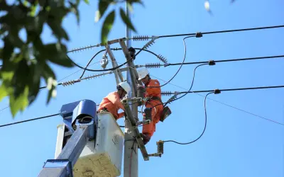 Lịch cúp điện Đồng Tháp từ 8-14/6/2026: Cúp điện 10 tiếng/ngày nhiều khu vực để sửa chữa