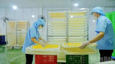 Liên kết doanh nghiệp, hợp tác xã và nông dân nâng cao giá trị nông sản
