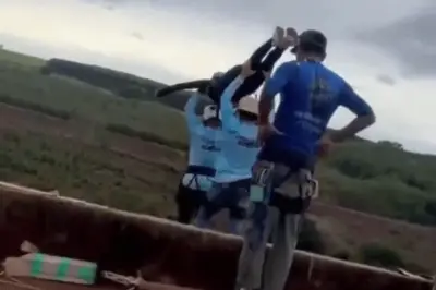 Loạt dấu hiệu bất thường vụ cô gái nhảy bungee tử vong do quên móc dây
