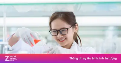 Loạt trường Việt Nam tụt bậc trên bảng xếp hạng đại học thế giới 2027