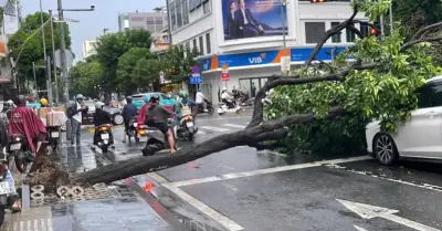 Mưa dông quật ngã cây xanh đè 2 ô tô, phố Tây Bùi Viện ngập sâu ở TPHCM