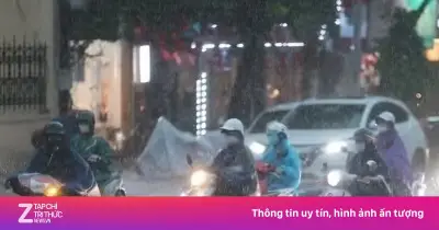 Mùa mưa bão 2026: Dự báo 16-19 đợt mưa lớn diện rộng trên cả nước