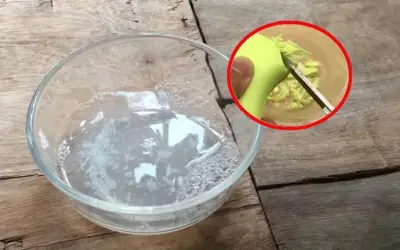 Mẹo kết hợp xà phòng và đường giúp vệ sinh nhà cửa hiệu quả