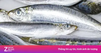 Ăn bao nhiêu cá mỗi tuần là đủ? Lựa chọn loại cá an toàn, giàu omega-3