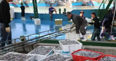 Ngư dân Nghệ An lao đao vì giá dầu tăng, thiếu nhân lực đi biển