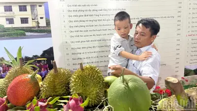 Đồng Tháp lần đầu tổ chức Lễ hội Trái cây năm 2026, tôn vinh đặc sản địa phương