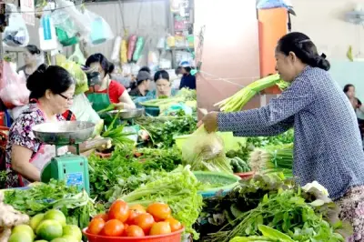 Người cô về hưu và cuộc chiến với tiếng loa rau