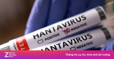 Nguồn gốc ổ dịch virus Hanta trên du thuyền MV Hondius vẫn là bí ẩn