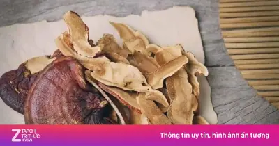 Nấm linh chi: 'Vua thảo dược' Đông y với 7 lợi ích sức khỏe