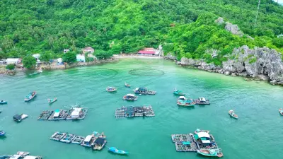 Nuôi cá lồng bè ở Hòn Nghệ: Hướng đi bền vững cho kinh tế biển