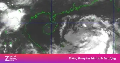Áp thấp nhiệt đới đầu tiên năm 2026 xuất hiện trên Biển Đông
