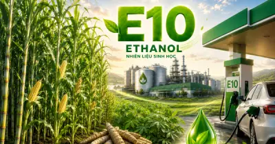 Phủ sóng xăng E10: Cơ hội biến cây sắn, ngô, mía thành 'mỏ vàng' của nền kinh tế xanh