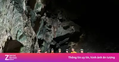 Phát hiện hang động lớn với 4 nhánh thạch nhũ giữa rừng nguyên sinh Quảng Trị