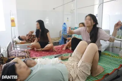 Phát hiện vi khuẩn Salmonella trong vụ ngộ độc bánh mì khiến 124 người nhập viện